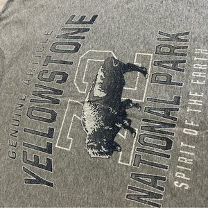 Gildan Gray Graphic T-Shirt